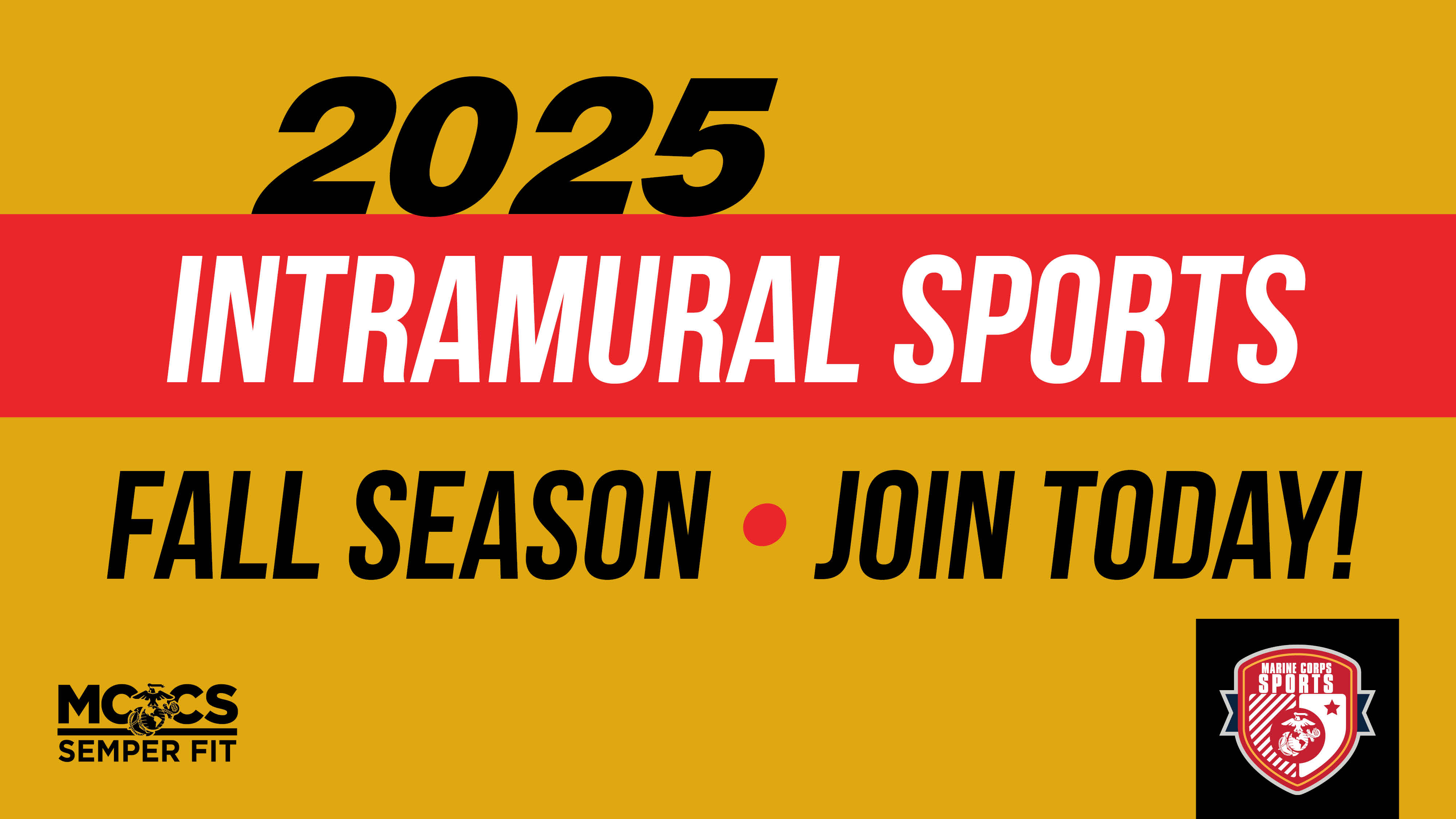 Intramural Sports: Softball