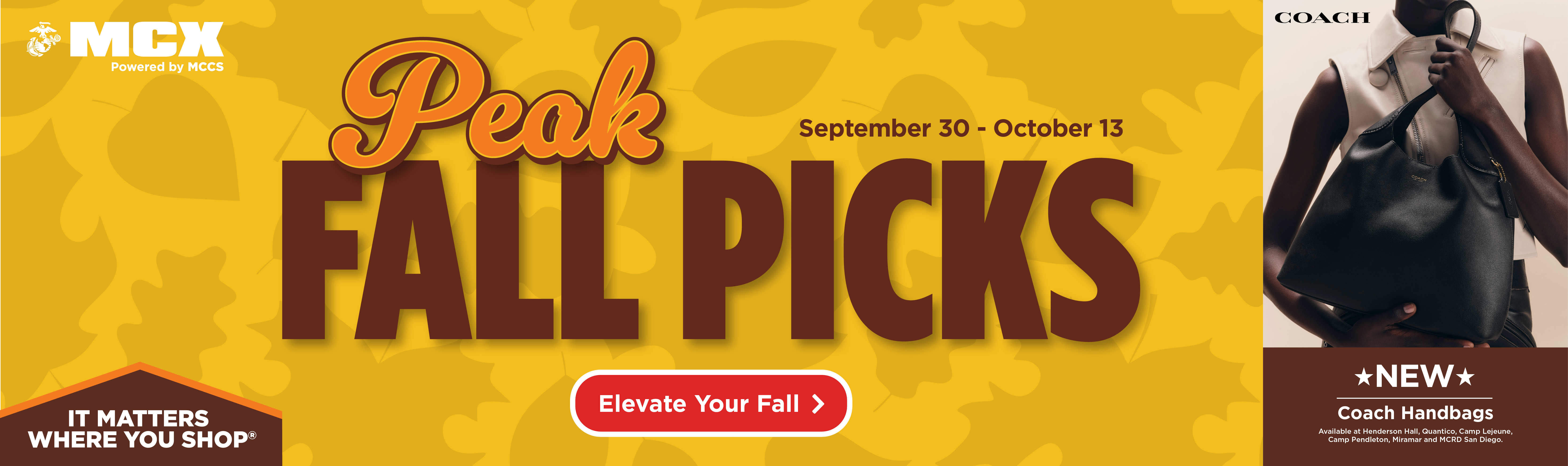 2026-35 October MCX Web Element 11 New Web Slider 1600x475px.png