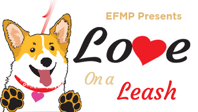 Love on a Leash