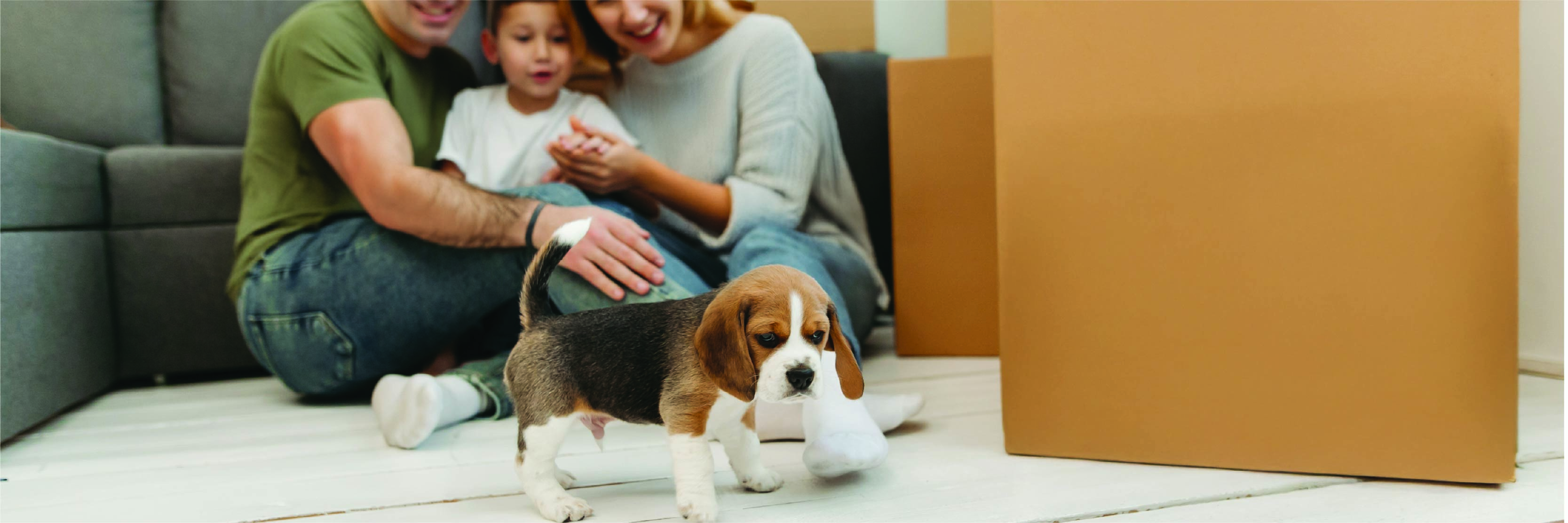 Get Ready for that Overseas Move