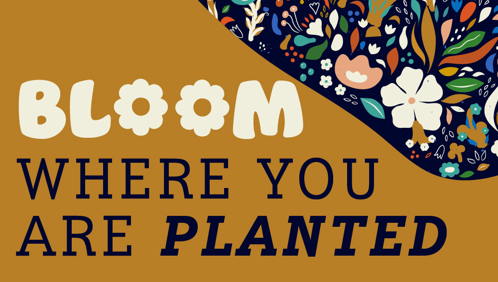 Bloom Where You Are Planted