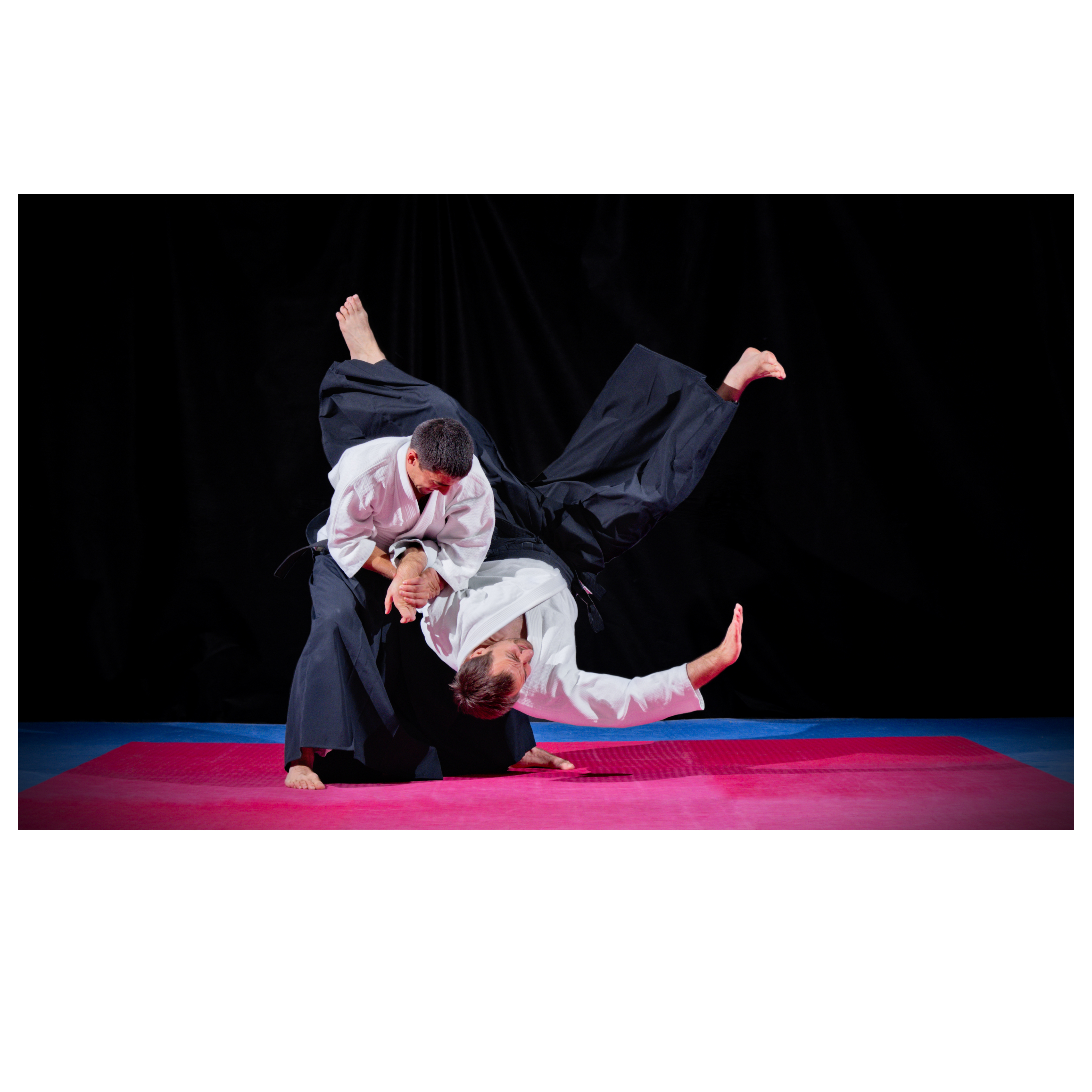 Aikido Classes