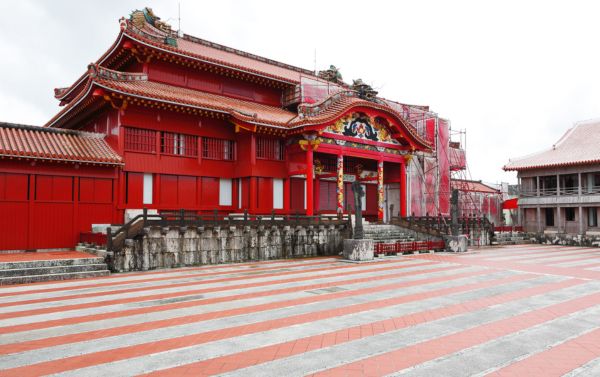 Youth Fitness (Ages 5-6)