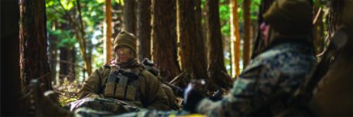 vehicle violation citation