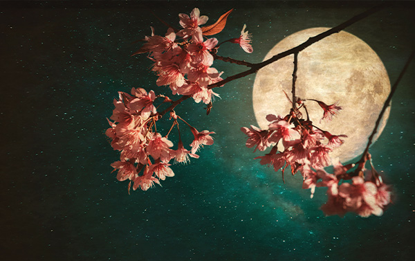 Youth Fitness (Ages 5-6)