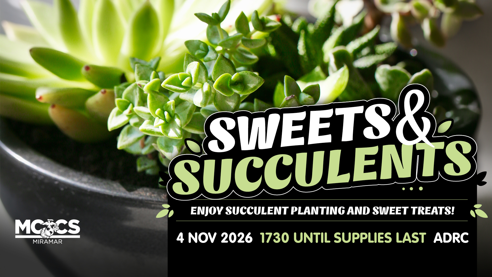 ADRC Sweets & Succulents